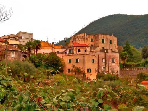 Agriturismo Ca' Magli