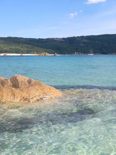 Mini Villa Corsica Bonheur