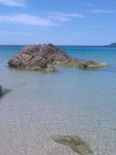 Mini Villa Corsica Bonheur