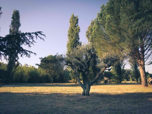 Bed & Breakfast Mas De La Croix - Chambres D'h�tes