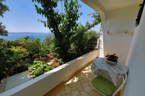 Hostal Ribi?i? Guesthouse