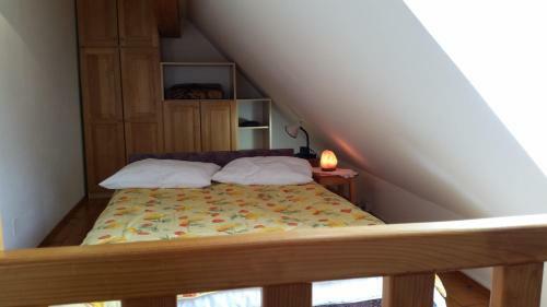 Apartmaji Stari Kova?