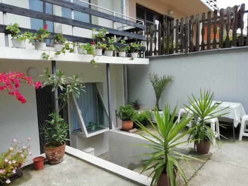 Apartman Jovanovic