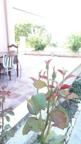 Agroturismo Country House Kefalonia
