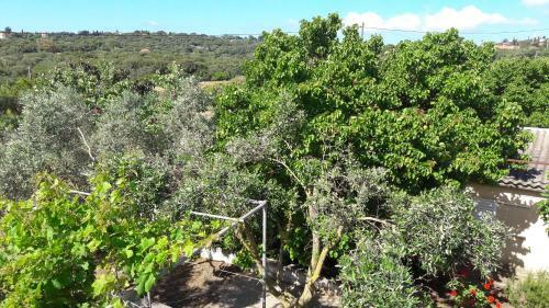 Agroturismo Country House Kefalonia