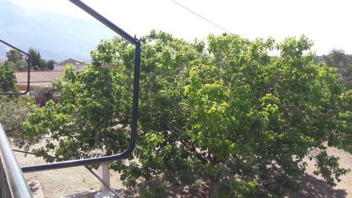 Agroturismo Country House Kefalonia