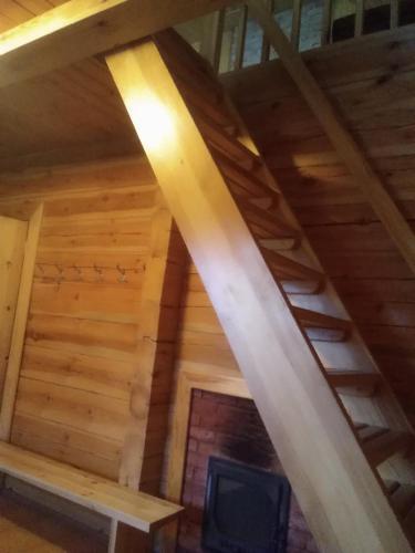 Alisa Kvie?ia.