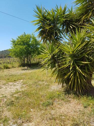 Chalet Sardegna