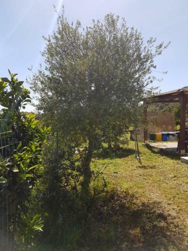 Chalet Sardegna