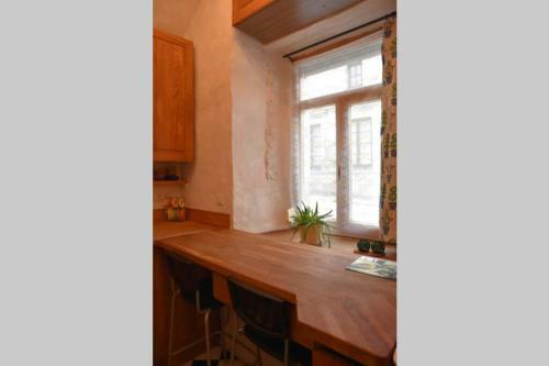 Historical U?upis & Old Town Apartment