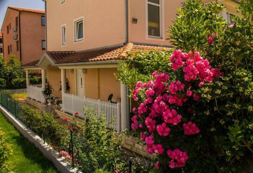 Apartment Simic