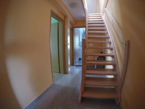 Apartma So?a 202