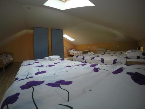 Apartma So?a 202