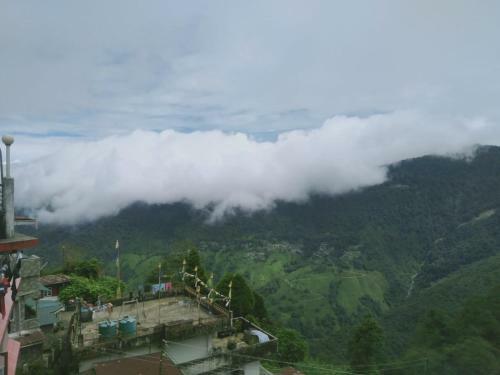 B&B Homestay