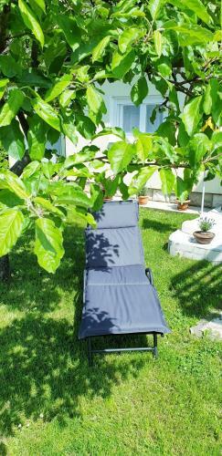 Studio Apartman Osojnaki