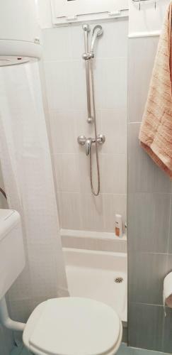 Studio Apartman Osojnaki