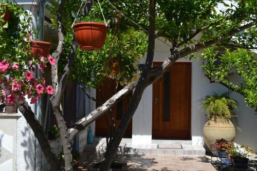 Apartamentos Danijela