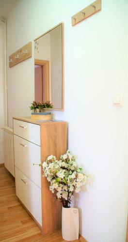 Apartments Nena