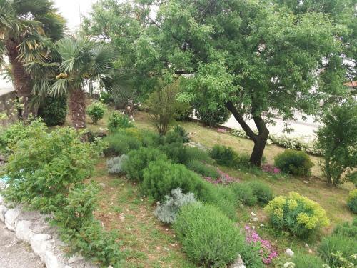 Apartamento Nina Sea Wiew
