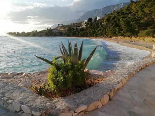 Apartment 70 M From The Beach