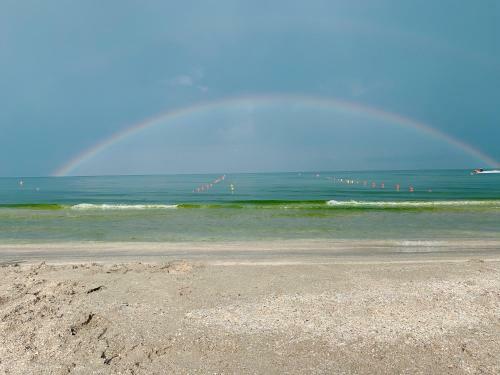 No 309 Apartament Mamaia