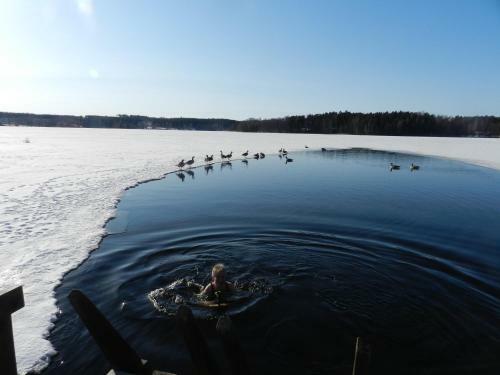 Hostal Labbn�s Semesterhem