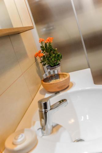 Hostal Apartments & Room Lucas