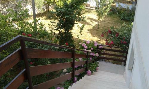 Apartamentos Villa Suzana