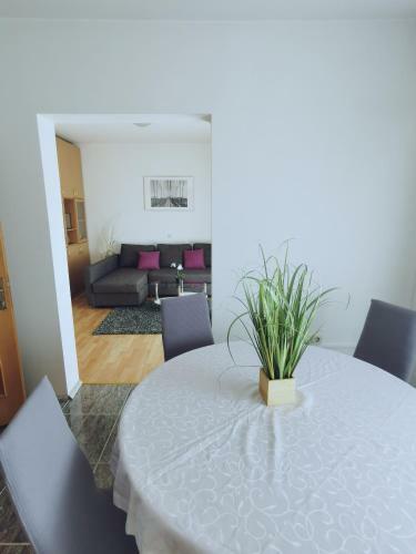 Apartmani Vukovi?