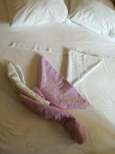 Apartman Kate