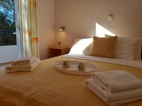 Apartamento Olivo Nydri