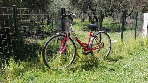 Apartamento Olivo Nydri