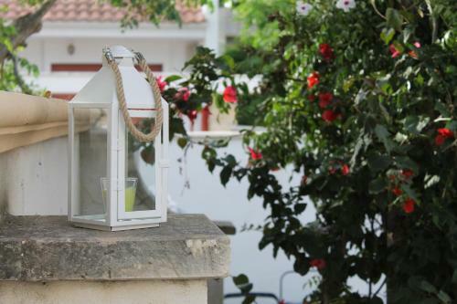 Salento Roots Apartment