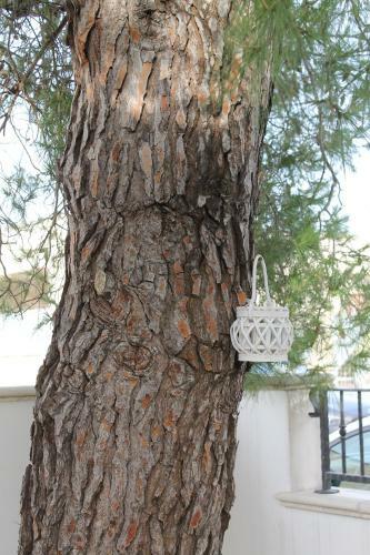 Salento Roots Apartment