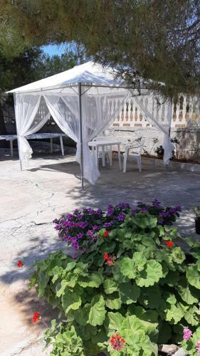 Apartamento Poggio Fiorito