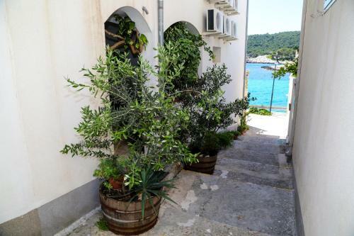 Hostal Duje Apartments Milna