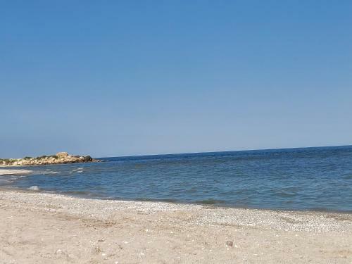 Hostal La Olteanu