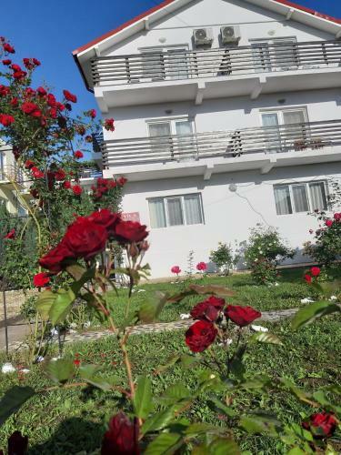 Hostal Vila Trandafirilor Costine?ti