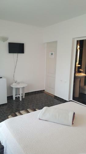 Hostal Vila Trandafirilor Costine?ti