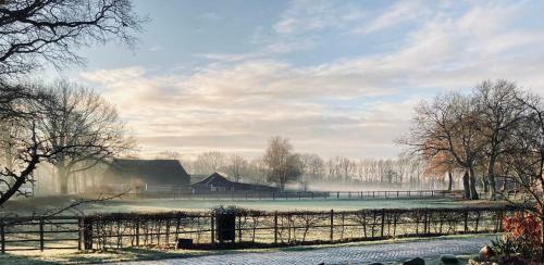Bed & Breakfast De Vijf Suites