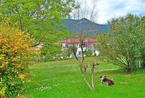 B&B Marienn