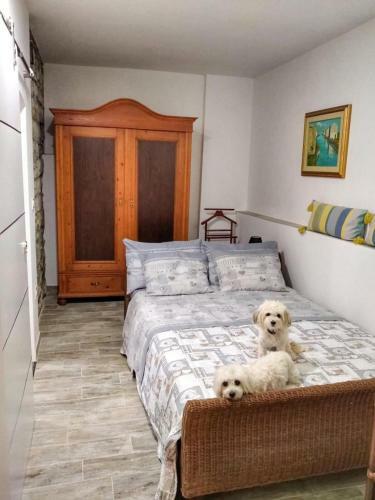 M&m Apartment