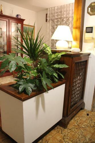 Bed & Breakfast Casa Gi�