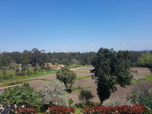 Apartamento En Zona Rustica De Camari�as