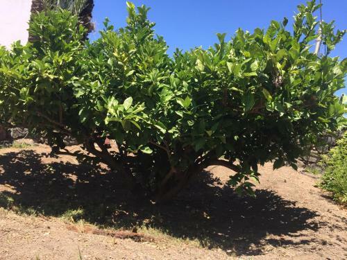 Agroturismo Dammusi Matilde