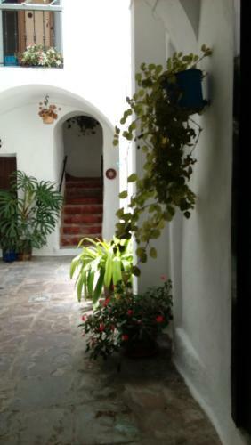Agroturismo Casa El Patio