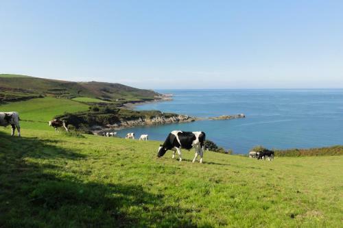 Agroturismo L'ancyze