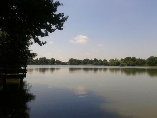 Camping Oaki