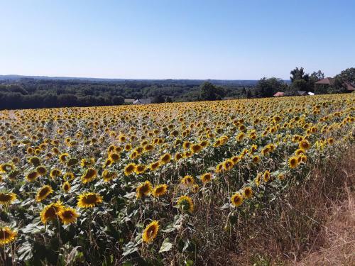 Camping Le Pr� Du Lac Pag�as