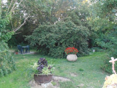 Bed & Breakfast La Plati�re